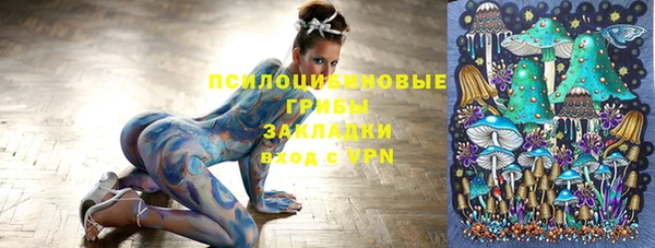 СК Аркадак
