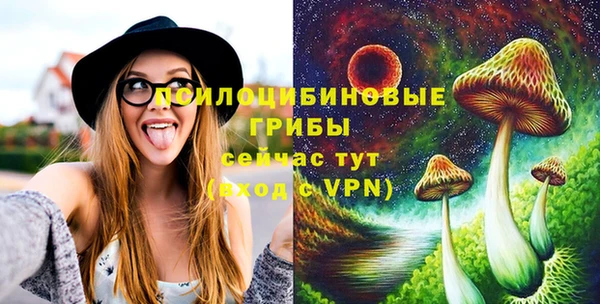 СК Аркадак