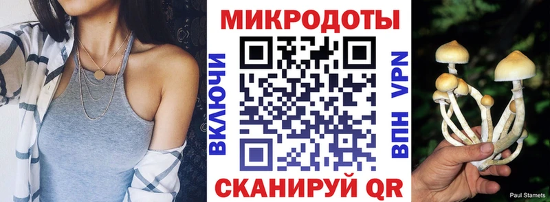 где купить   Курлово  Псилоцибиновые грибы прущие грибы 